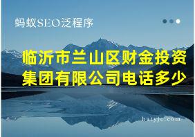 临沂市兰山区财金投资集团有限公司电话多少