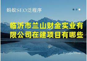 临沂市兰山财金实业有限公司在建项目有哪些