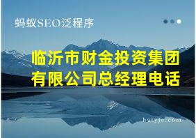 临沂市财金投资集团有限公司总经理电话