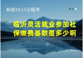 临沂灵活就业参加社保缴费基数是多少啊