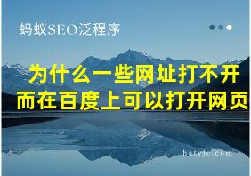 为什么一些网址打不开而在百度上可以打开网页