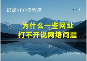 为什么一些网址打不开说网络问题