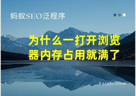 为什么一打开浏览器内存占用就满了