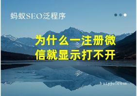 为什么一注册微信就显示打不开