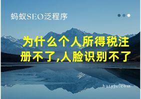 为什么个人所得税注册不了,人脸识别不了