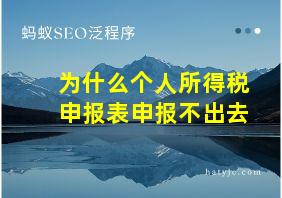 为什么个人所得税申报表申报不出去