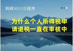 为什么个人所得税申请退税一直在审核中