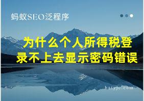 为什么个人所得税登录不上去显示密码错误