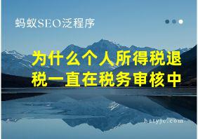 为什么个人所得税退税一直在税务审核中