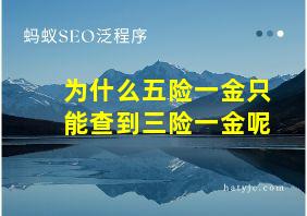 为什么五险一金只能查到三险一金呢