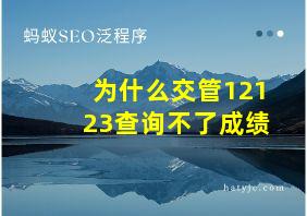 为什么交管12123查询不了成绩