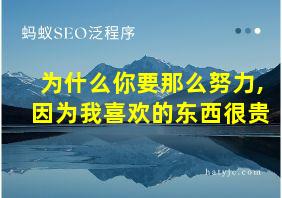 为什么你要那么努力,因为我喜欢的东西很贵