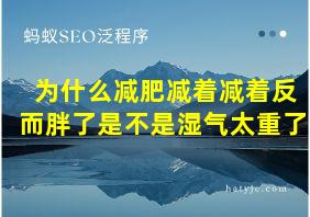 为什么减肥减着减着反而胖了是不是湿气太重了