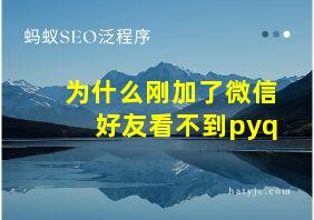 为什么刚加了微信好友看不到pyq