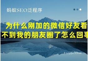 为什么刚加的微信好友看不到我的朋友圈了怎么回事