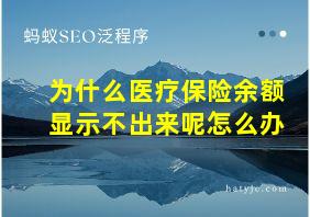 为什么医疗保险余额显示不出来呢怎么办