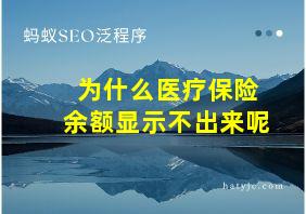 为什么医疗保险余额显示不出来呢