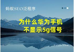 为什么华为手机不显示5g信号