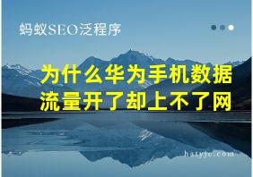 为什么华为手机数据流量开了却上不了网