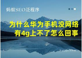 为什么华为手机没网络有4g上不了怎么回事