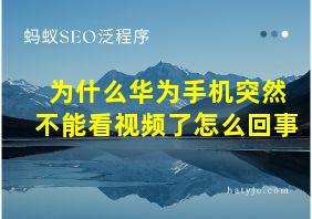 为什么华为手机突然不能看视频了怎么回事