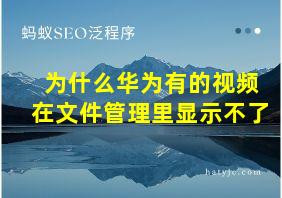 为什么华为有的视频在文件管理里显示不了