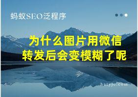 为什么图片用微信转发后会变模糊了呢