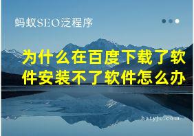 为什么在百度下载了软件安装不了软件怎么办