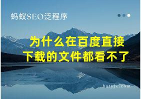 为什么在百度直接下载的文件都看不了