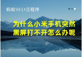 为什么小米手机突然黑屏打不开怎么办呢