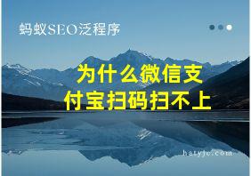 为什么微信支付宝扫码扫不上