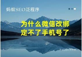 为什么微信改绑定不了手机号了