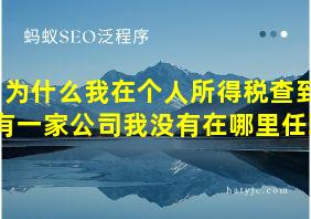 为什么我在个人所得税查到有一家公司我没有在哪里任职