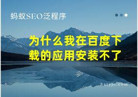 为什么我在百度下载的应用安装不了