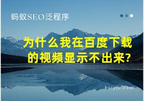 为什么我在百度下载的视频显示不出来?