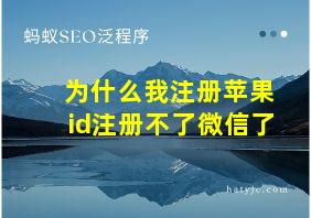 为什么我注册苹果id注册不了微信了