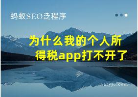 为什么我的个人所得税app打不开了