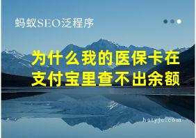 为什么我的医保卡在支付宝里查不出余额