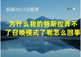 为什么我的特斯拉弄不了召唤模式了呢怎么回事