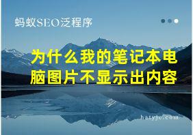 为什么我的笔记本电脑图片不显示出内容