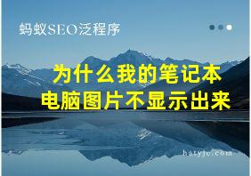 为什么我的笔记本电脑图片不显示出来