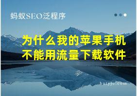 为什么我的苹果手机不能用流量下载软件