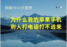 为什么我的苹果手机别人打电话打不进来