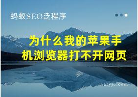 为什么我的苹果手机浏览器打不开网页