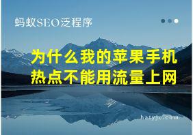 为什么我的苹果手机热点不能用流量上网