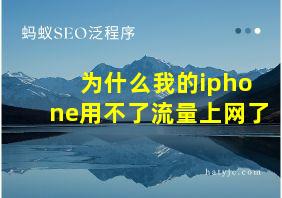 为什么我的iphone用不了流量上网了