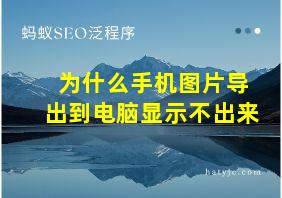 为什么手机图片导出到电脑显示不出来