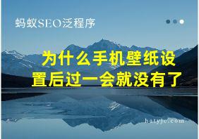 为什么手机壁纸设置后过一会就没有了