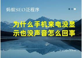 为什么手机来电没显示也没声音怎么回事