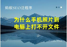 为什么手机照片到电脑上打不开文件